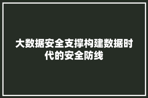 大数据安全支撑构建数据时代的安全防线 电脑配置