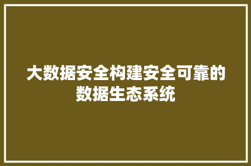 大数据安全构建安全可靠的数据生态系统