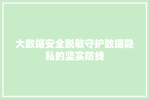 大数据安全脱敏守护数据隐私的坚实防线