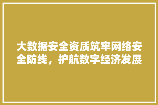 大数据安全资质筑牢网络安全防线，护航数字经济发展