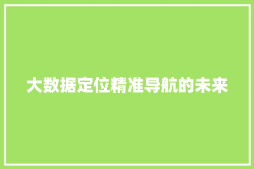 大数据定位精准导航的未来