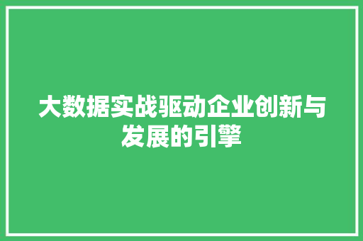 大数据实战驱动企业创新与发展的引擎