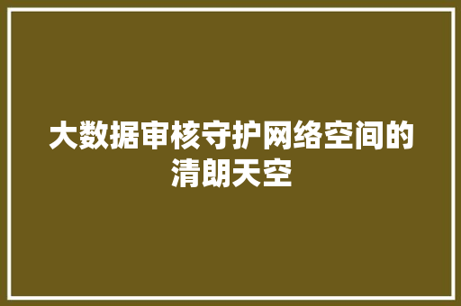 大数据审核守护网络空间的清朗天空