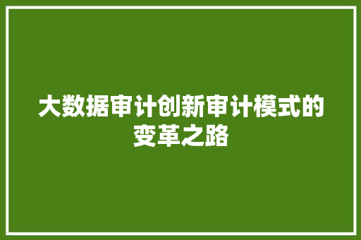 大数据审计创新审计模式的变革之路