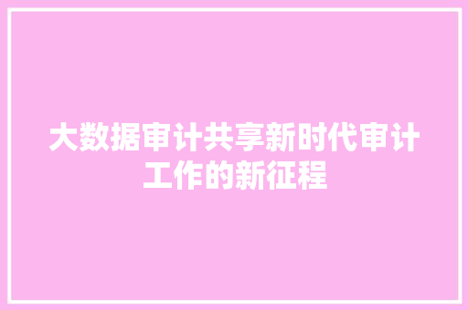 大数据审计共享新时代审计工作的新征程