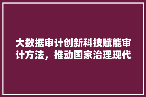 大数据审计创新科技赋能审计方法，推动国家治理现代化