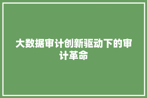 大数据审计创新驱动下的审计革命