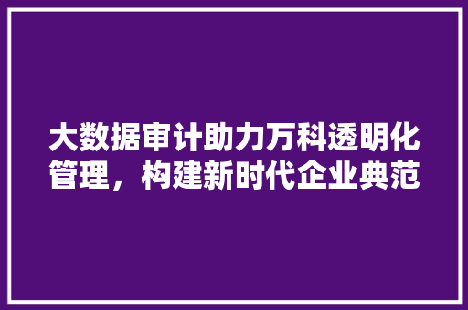 大数据审计助力万科透明化管理，构建新时代企业典范