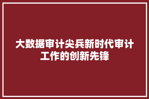 大数据审计尖兵新时代审计工作的创新先锋 大数据审计尖兵新时代审计工作的创新先锋
