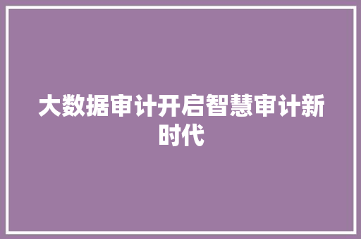 大数据审计开启智慧审计新时代 大数据审计开启智慧审计新时代