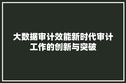 大数据审计效能新时代审计工作的创新与突破 大数据审计效能新时代审计工作的创新与突破