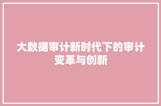 大数据审计新时代下的审计变革与创新 大数据审计新时代下的审计变革与创新