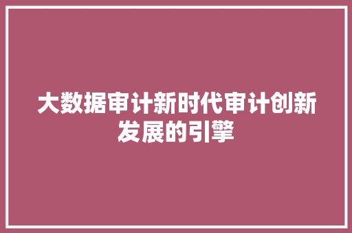 大数据审计新时代审计创新发展的引擎 大数据审计新时代审计创新发展的引擎