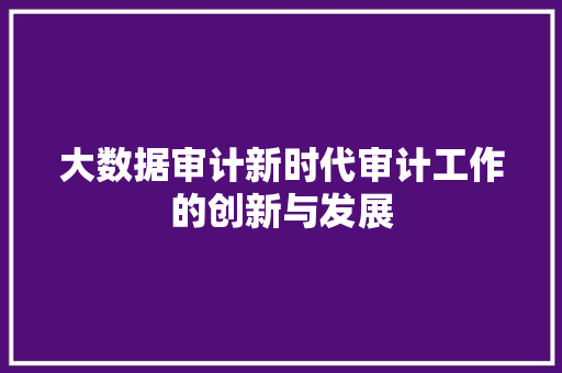 大数据审计新时代审计工作的创新与发展 大数据审计新时代审计工作的创新与发展