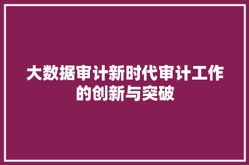 大数据审计新时代审计工作的创新与突破