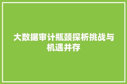 大数据审计瓶颈探析挑战与机遇并存