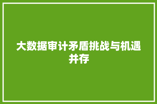 大数据审计矛盾挑战与机遇并存