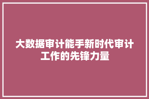 大数据审计能手新时代审计工作的先锋力量