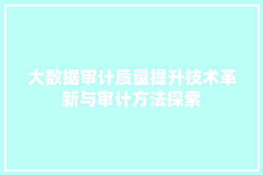 大数据审计质量提升技术革新与审计方法探索