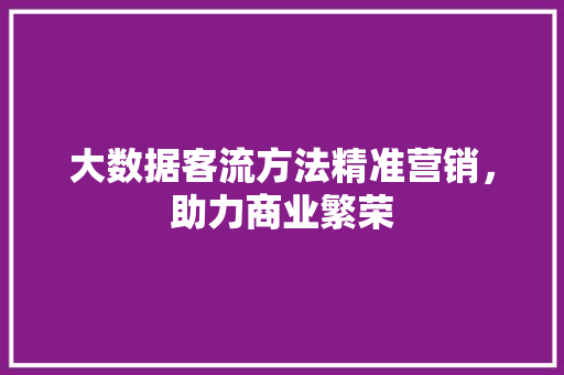 大数据客流方法精准营销，助力商业繁荣