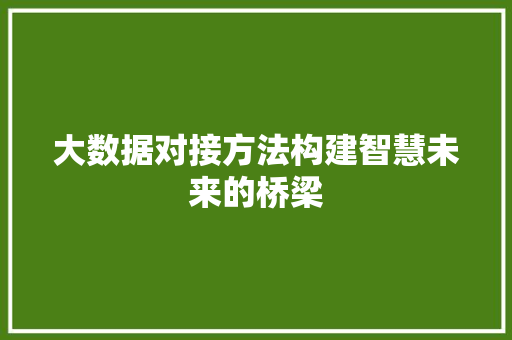 大数据对接方法构建智慧未来的桥梁