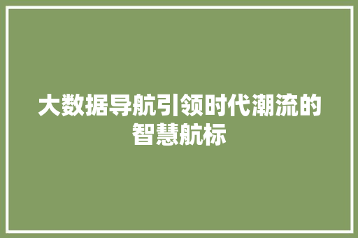 大数据导航引领时代潮流的智慧航标