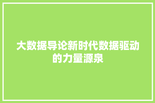 大数据导论新时代数据驱动的力量源泉
