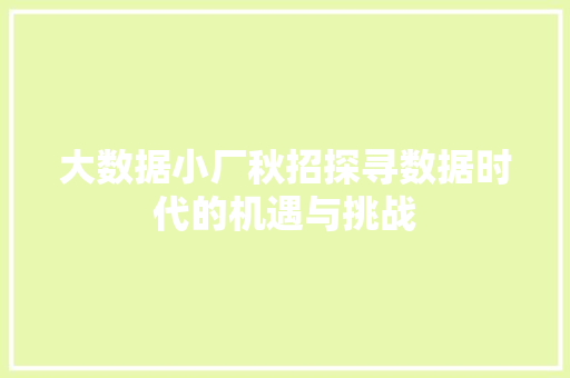 大数据小厂秋招探寻数据时代的机遇与挑战