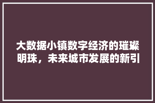 大数据小镇数字经济的璀璨明珠，未来城市发展的新引擎