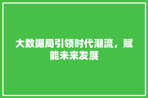 大数据局引领时代潮流，赋能未来发展