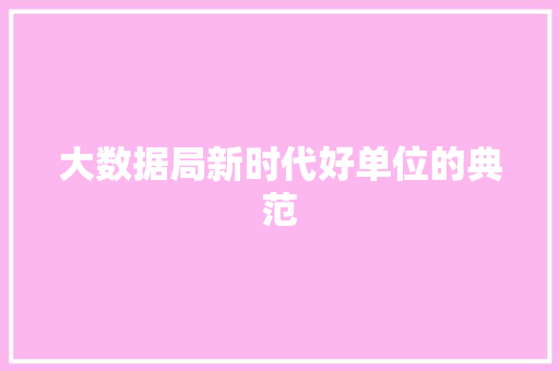 大数据局新时代好单位的典范
