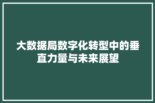 大数据局数字化转型中的垂直力量与未来展望