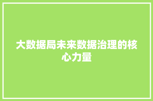 大数据局未来数据治理的核心力量
