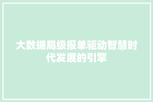 大数据局级报单驱动智慧时代发展的引擎