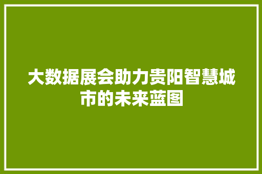 大数据展会助力贵阳智慧城市的未来蓝图