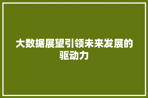 大数据展望引领未来发展的驱动力