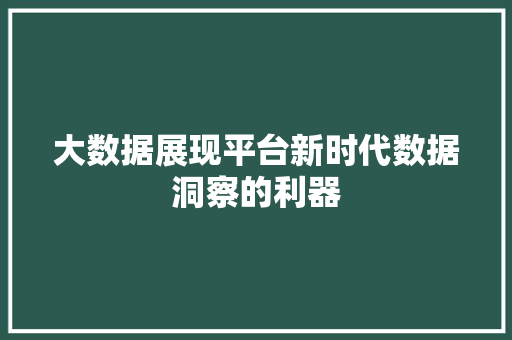 大数据展现平台新时代数据洞察的利器