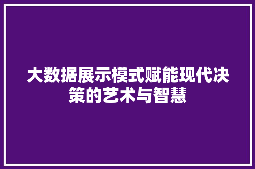 大数据展示模式赋能现代决策的艺术与智慧
