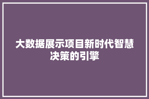 大数据展示项目新时代智慧决策的引擎
