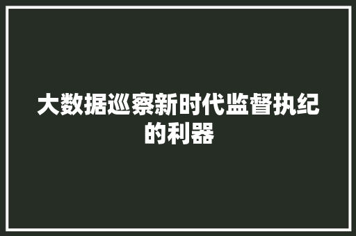 大数据巡察新时代监督执纪的利器