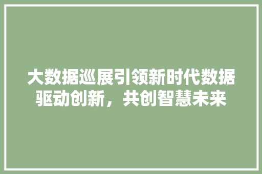 大数据巡展引领新时代数据驱动创新，共创智慧未来 电脑基础