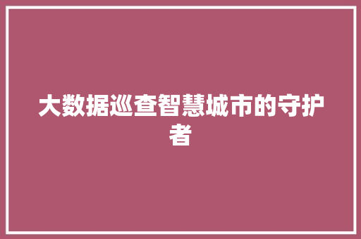 大数据巡查智慧城市的守护者