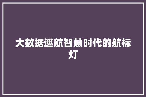 大数据巡航智慧时代的航标灯