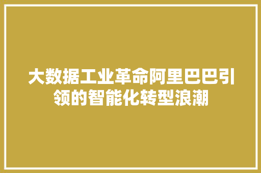 大数据工业革命阿里巴巴引领的智能化转型浪潮