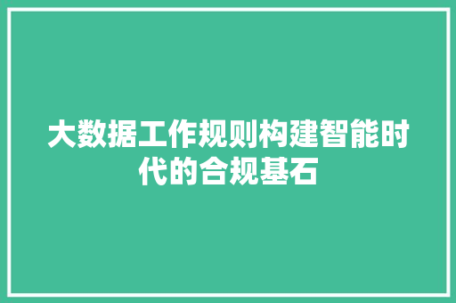 大数据工作规则构建智能时代的合规基石
