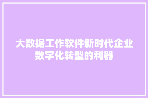 大数据工作软件新时代企业数字化转型的利器
