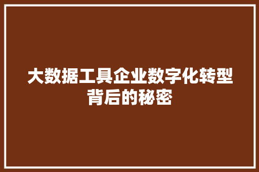 大数据工具企业数字化转型背后的秘密