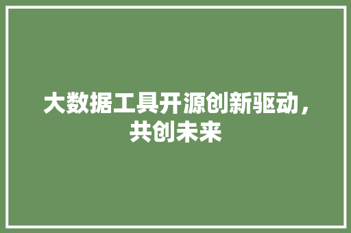 大数据工具开源创新驱动，共创未来
