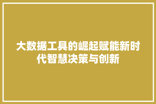 大数据工具的崛起赋能新时代智慧决策与创新