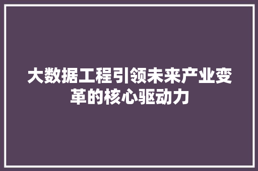 大数据工程引领未来产业变革的核心驱动力
